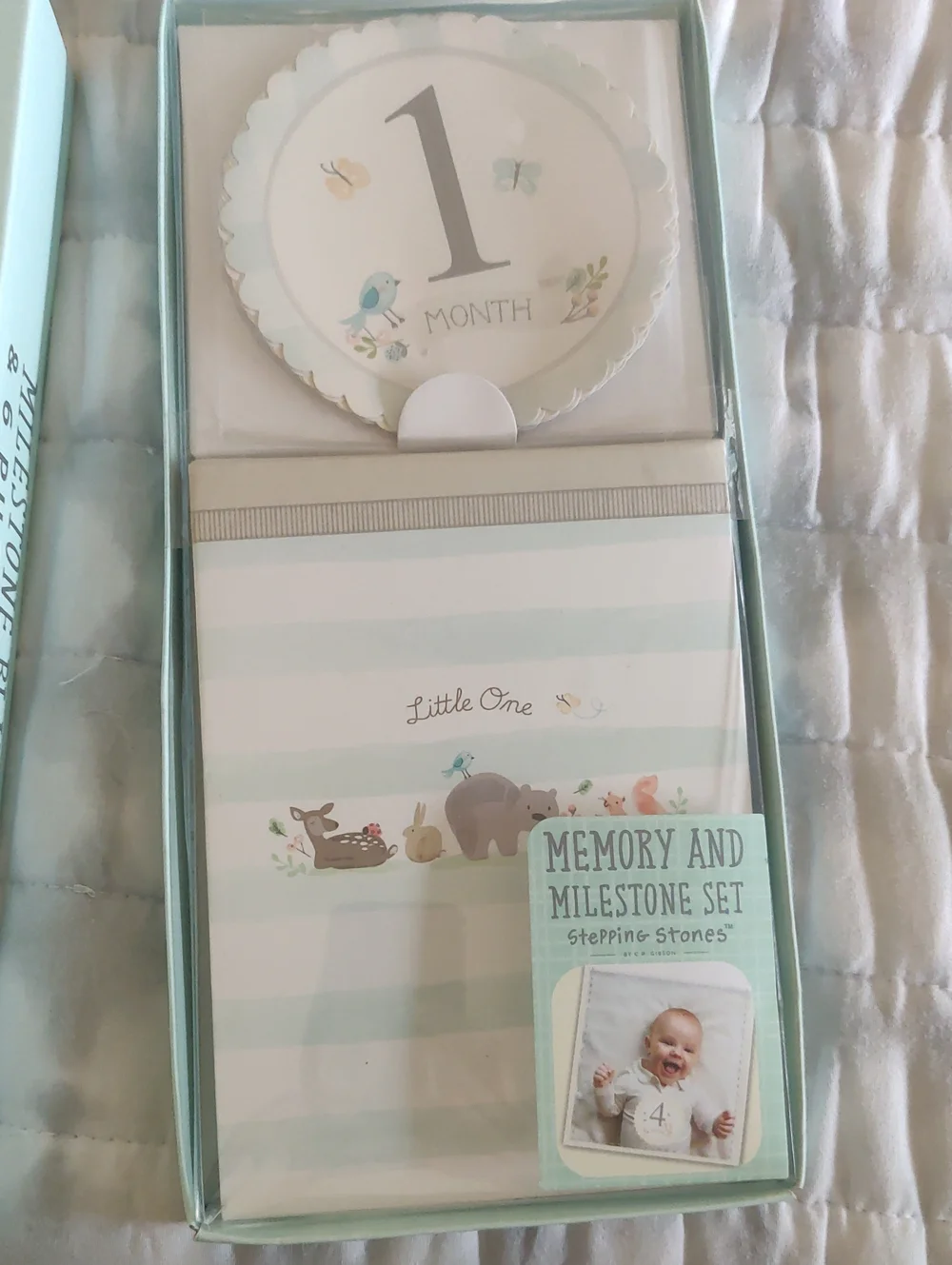 New!Maternity Milestone Blanket & Photo Props Staging Y2K Shabby Aesthetic Retro